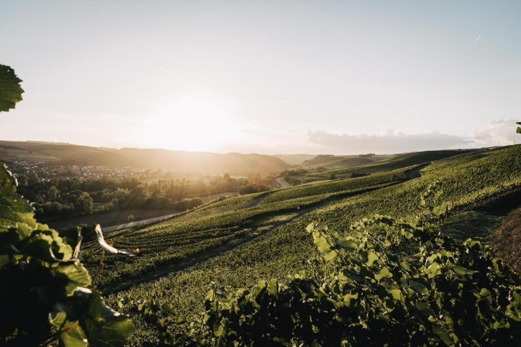 Weingut Und Gaestehaus Holger Alt Monzingen Ngoại thất bức ảnh